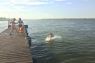 Рыболовная база отдыха «Верхнелебяжье FISH RESORT» в Астрахани на Волге